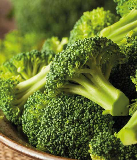 brocoli