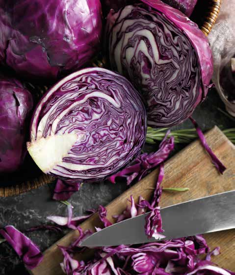 cabbage