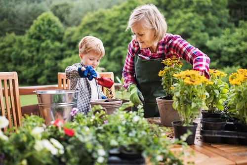 Patiente atteinte  d'ostéoporose - Hélène fait du jardinage avec son petit-fils